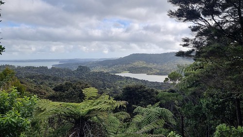 Lower Nihotupu Dam and Parau