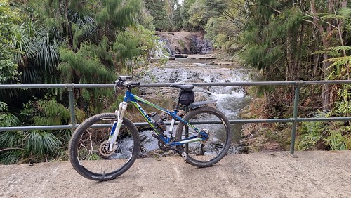 Upper Nihotupu Dam Track