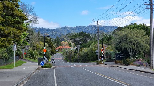 Oratia to the Waitakere Ranges