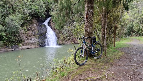 Upper Nihotupu Dam Track