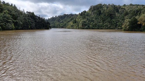 Upper Nihotupu Dam