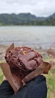 Alfred's Huia Store Muffin