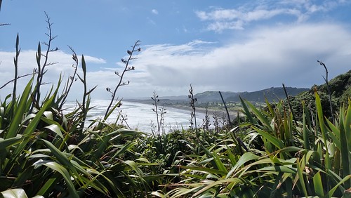 Muriwai Beach