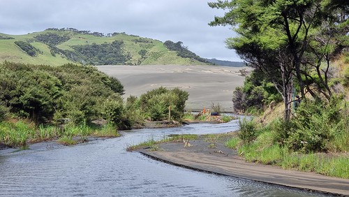 Waiti Stream and Lake Wainamu Track, Te Henga (Bethells Beach)