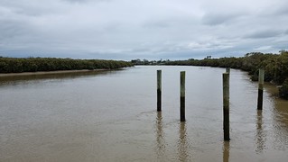 Kaipara River towards Helensville