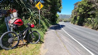 'Lips' letterbox on the road near Laingholm