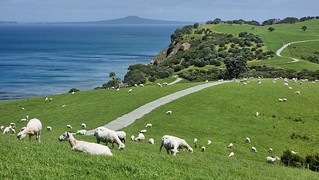 Shakespeare Regional Park, Whangaparāoa