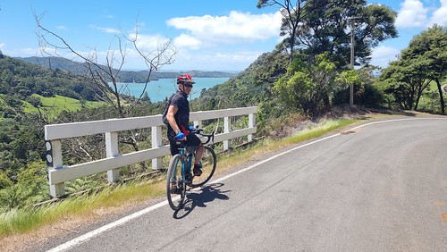 Thomas overlooks Little Huia