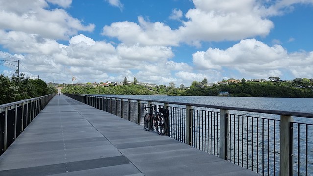 Orakei Basin shared path