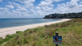 Shakespeare Regional Park, Whangaparāoa