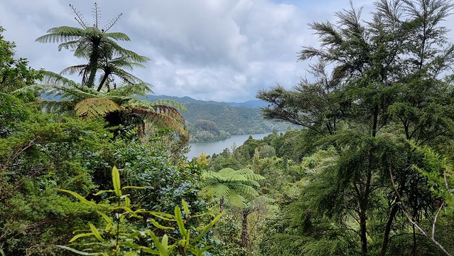 Upper Mangatawhiri Reservoir