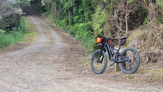 Hunua Ranges Mountain Bike Park (Upper Mangatawhiri Reservoir)