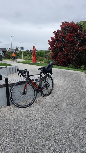 Karaka Esplanade Reserve Path