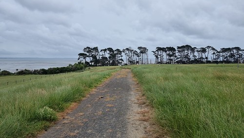 Puhinui Reserve