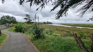 Clendon Park Reserve Path