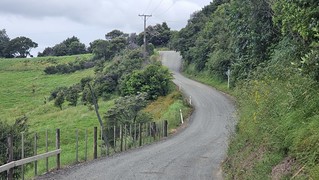 Heading back to Waitoki