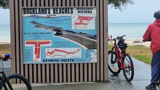 Buckland's Beach advert from when real estate was affordable