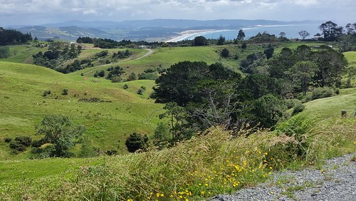 Pakiri Hill View