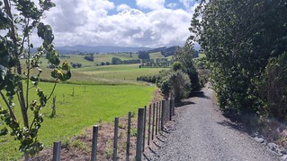 Matakana to Pt. Wells/Omaha Bike Path