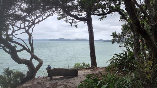 Kauri Rd Point, Laingholm