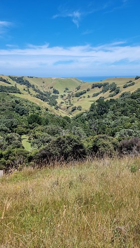 Looking towards the West Coast