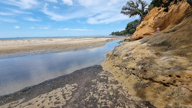 Big Bay at low tide