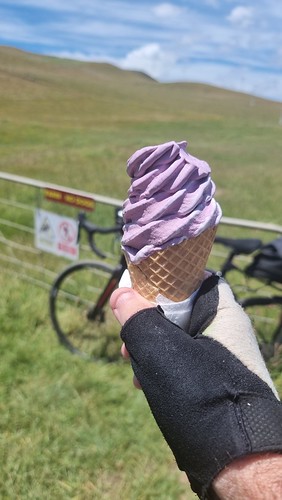 The 'worth the wait' fresh berry ice cream