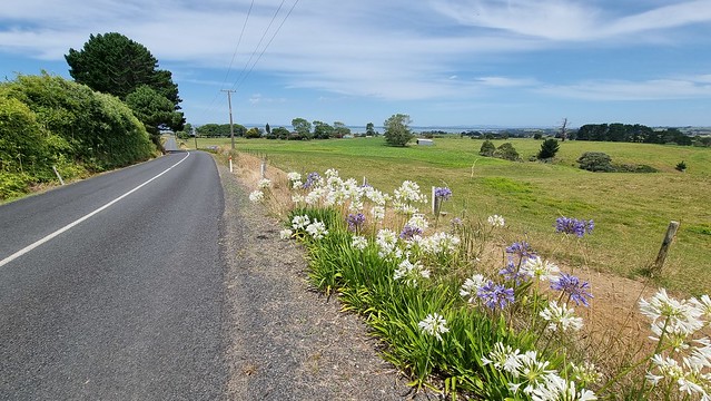 Pretty noxious weeds