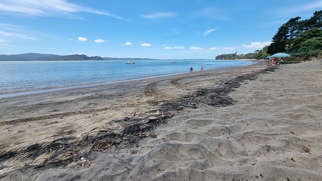 Orua Beach swim time