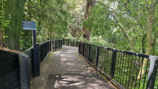 Te Awa River Trail (Ngaruawahia - Hamilton)