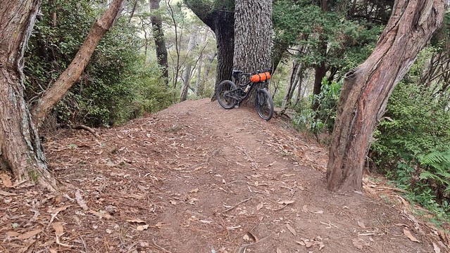 Jones Landing Lookout Track