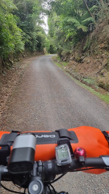 Railway Cutting in Karangahake Gorge