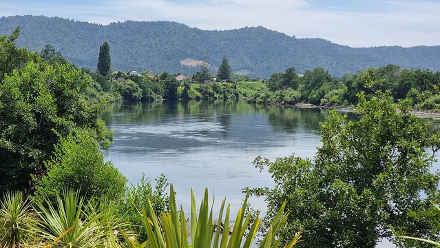 Towards Ngaruawahia | Te Awa River Trail (Ngaruawahia - Hamilton)