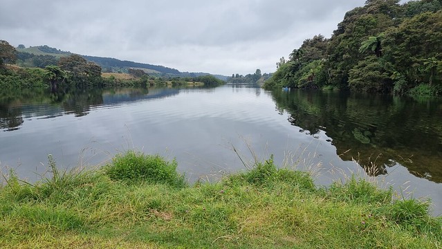 Little Waipa Reserve