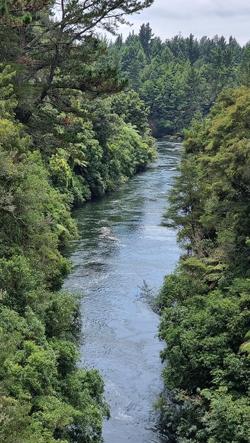 Waikato River