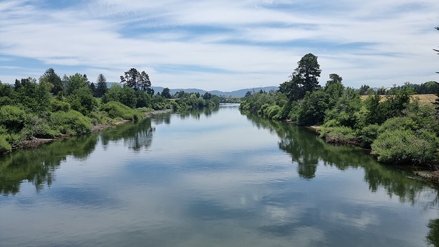 Perry Bridge View Te Awa River Trail (Ngaruawahia - Hamilton)