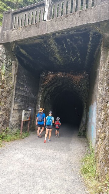 Shared tunnel requires care