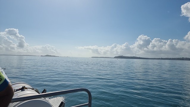 Calm day on Waitemata Harbour