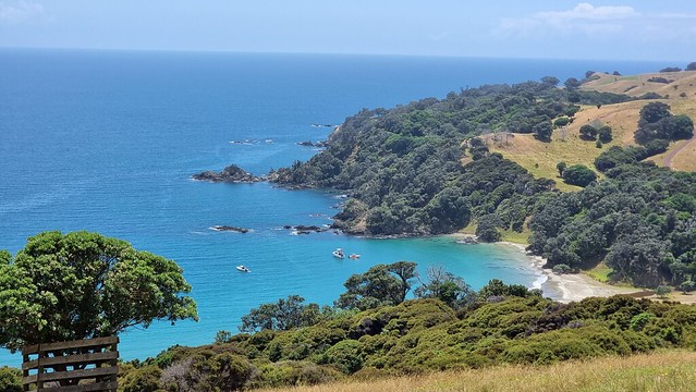 Cactus Bay, Waiheke