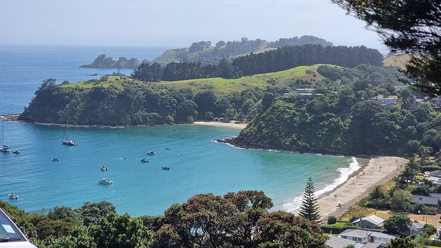 Palm Beach Waiheke coast