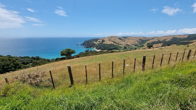 Towards Owhiti Bay, Waiheke