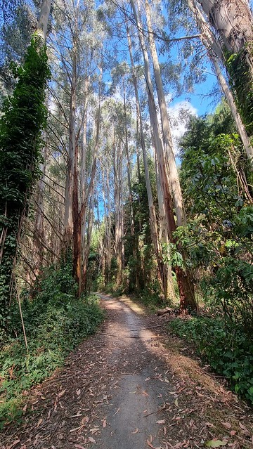 Wairakei Resort Grounds