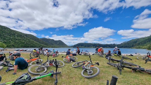 Whakarewarewa Forest Loop