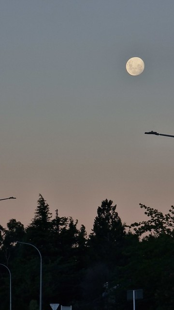 Full Moon over Kinloch (NZ)