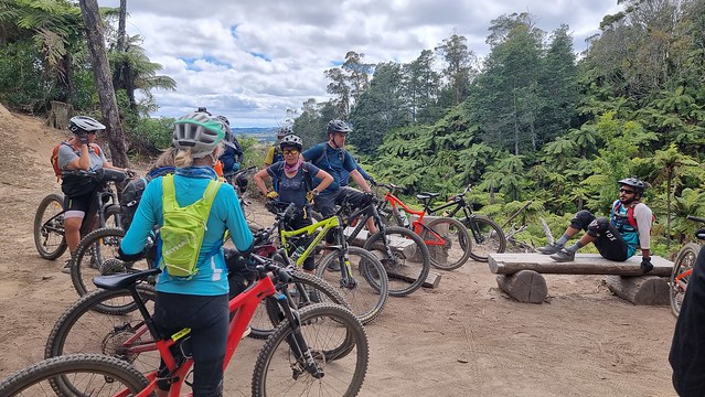 Whakarewarewa Forest Loop