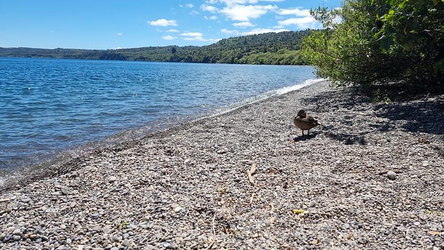 Kawakawa Bay crowds