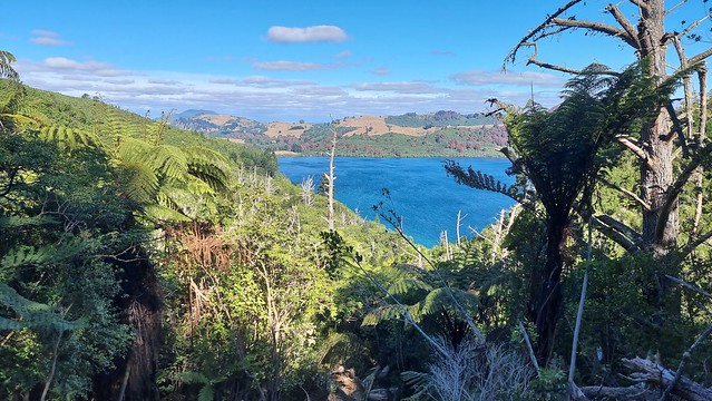 W2K Trail view to Whakaipo Bay