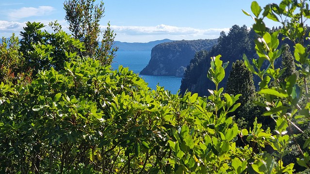 W2K Trail view to headland