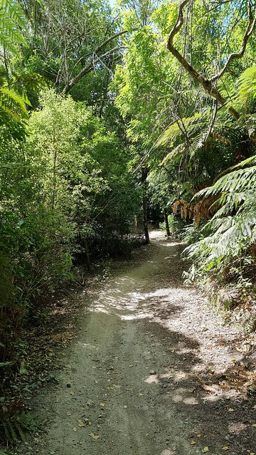 Heading to Hūka Falls