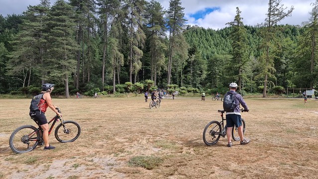 Whakarewarewa Forest Loop